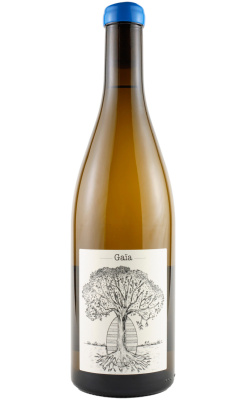 Gaia Muscadet