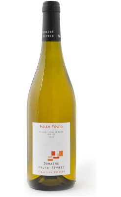 Muscadet Sevre et Maine sur lie